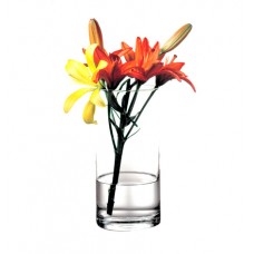 Флора ваза цилиндр h-26см д-12,5см (набор 1шт.) 